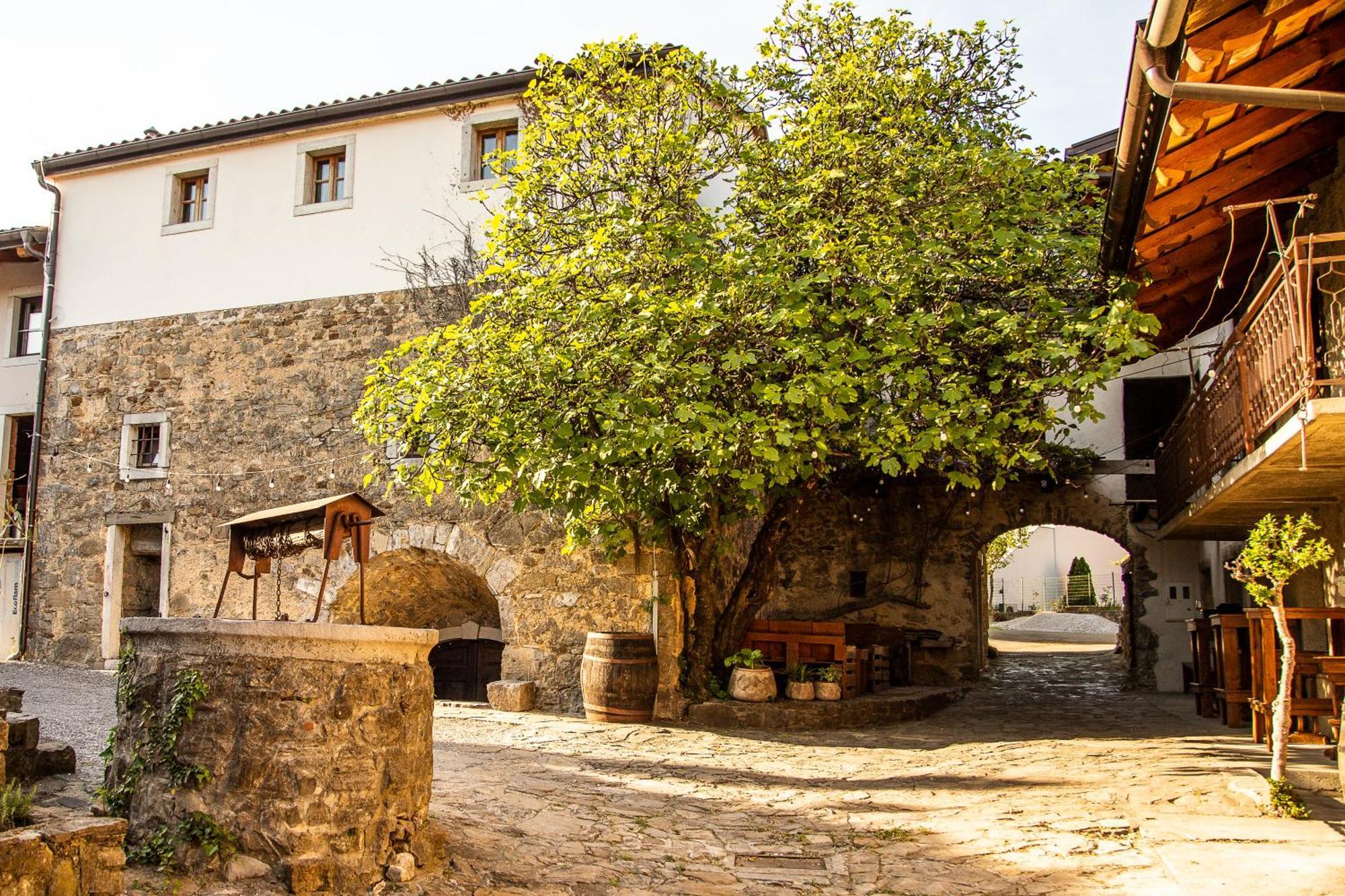 Boutique Rooms & Winery Zorz Vipava Esterno foto