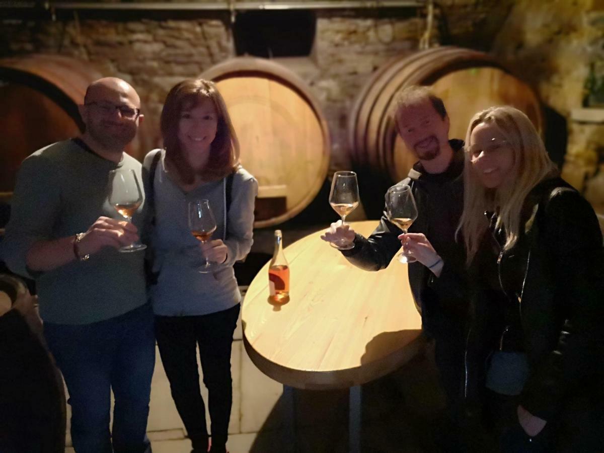 Boutique Rooms & Winery Zorz Vipava Esterno foto